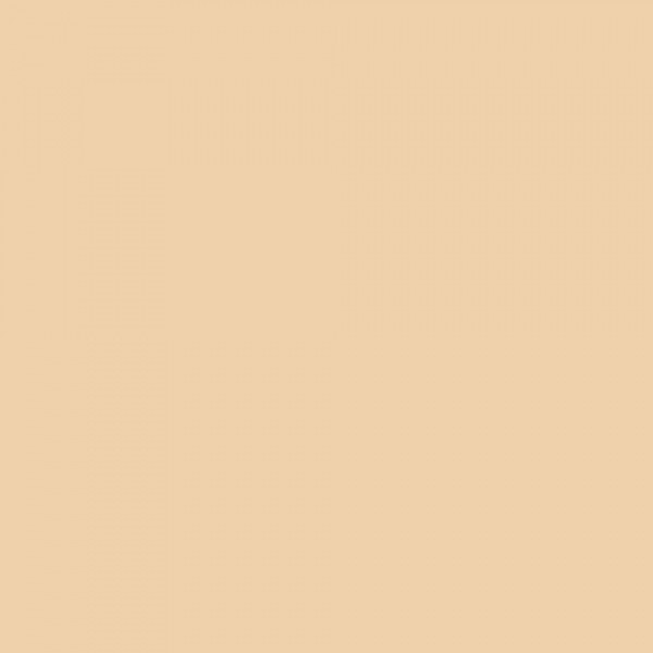 Картон двухсторонний однотонный, цвет бежевый,  50*70 см, арт. 6110