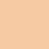 Картон двухсторонний однотонный, цвет абрикосовый,  50*70 см, арт. 6142