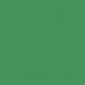 Картон двухсторонний однотонный, цвет зелёный мох,  50*70 см, арт. 6153