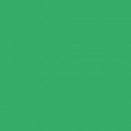 Картон двухсторонний, цвет Зеленый, A4 формат, плотность 220 грамм арт. 6122-4-54
