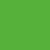 Картон двухсторонний однотонный, цвет зелёная трава,  50*70 см, арт. 6155