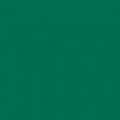 Картон двухсторонний однотонный, цвет темно-зеленый,  50*70 см, арт. 6158