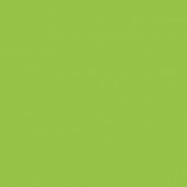 Картон двухсторонний, цвет  Весенняя зелень, A4 формат, плотность 220 грамм арт. 6122-4-50