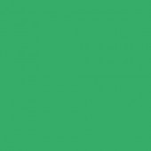 Картон двухсторонний однотонный, цвет зелёный,  50*70 см, арт. 6154