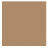 Картон двухсторонний, цвет Светлый коричневый, A4 формат, плотность 220 грамм арт. 6122-4-75